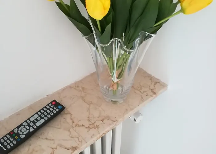 Venice בית הארחה